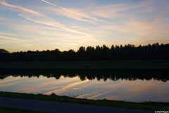 DSC00631_DxO