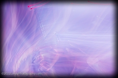 NAS Concert at Malá Sportovní Hala - Prague, CZ